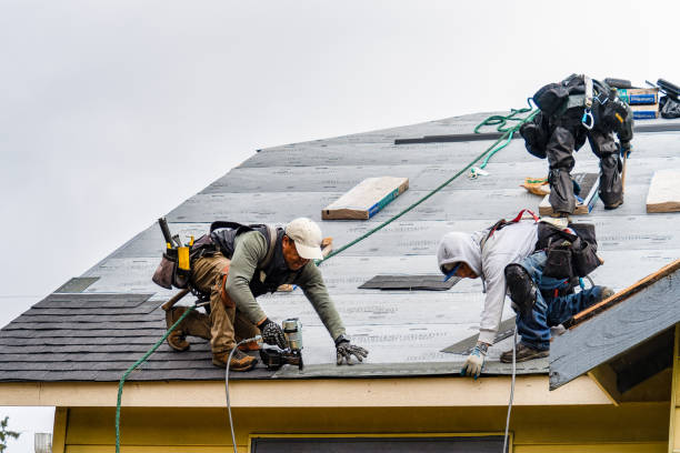 Professional Gutter Installation technician working in Philomath, OR